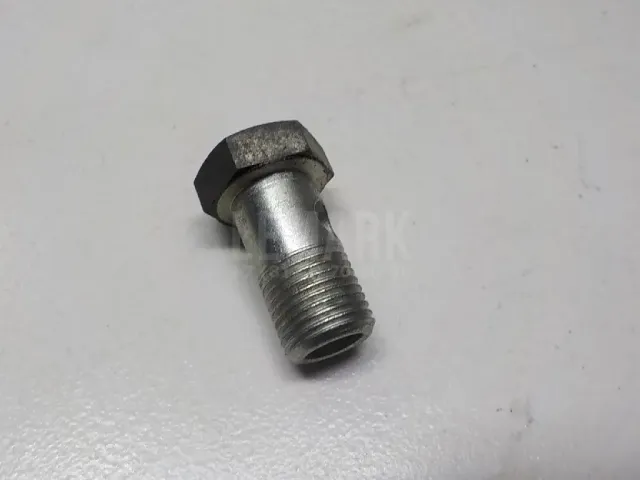 Болт полый для  Fiat 500 2008