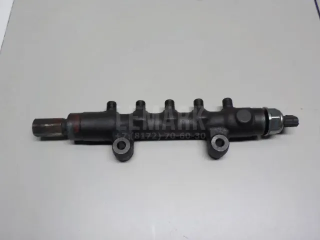 Рейка топливная (рампа) для  Ford America F150 2004-2008