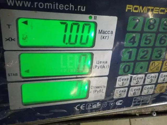 Стекло двери багажника