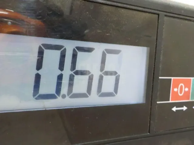 Замок двери задней левой для  BPW ECO MAX 1996