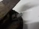 Сигнал звуковой