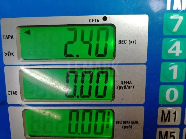 Пружина передняя