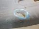 Накладка на порог (наружная)