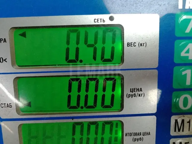 Петля двери передней правой нижняя
