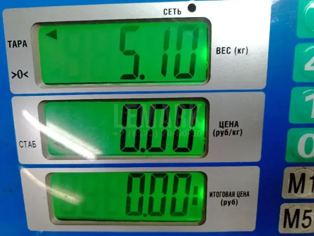 Поддон масляный двигателя