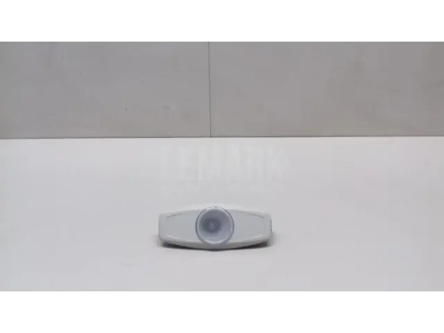 Плафон салонный