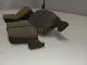 Колодки тормозные передние к-кт