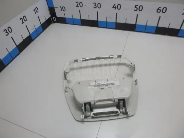 Очечник