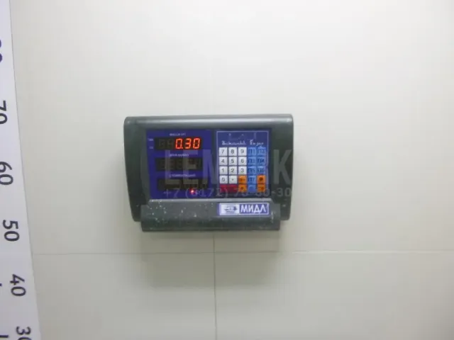 Очечник