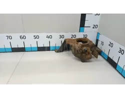 Кулак поворотный задний правый