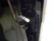 Дверь багажника со стеклом
