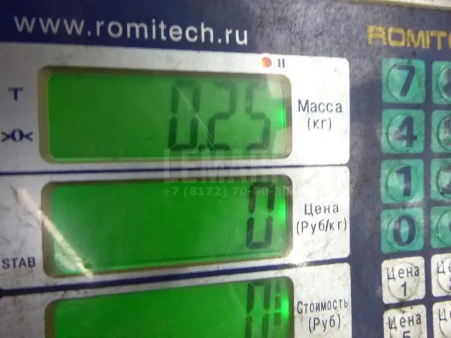 Термостат