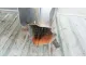 Кузовной элемент
