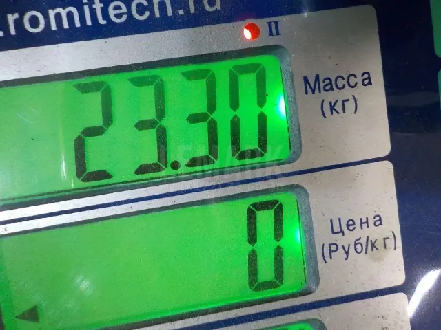 Рессора задняя