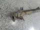 Балка задняя для  BAW M7 2022