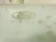 Бачок омывателя лобового стекла