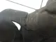 Патрубок воздушного фильтра