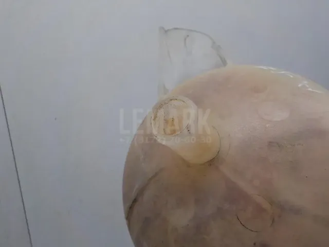 Бачок расширительный