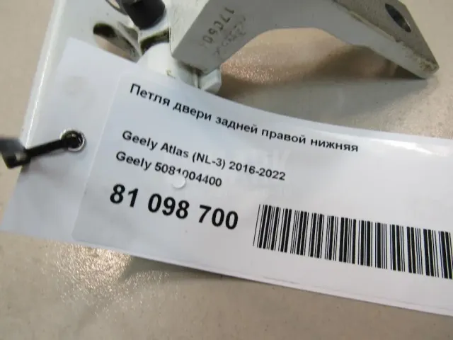 Петля двери задней правой нижняя