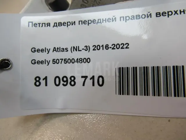 Петля двери передней правой верхняя