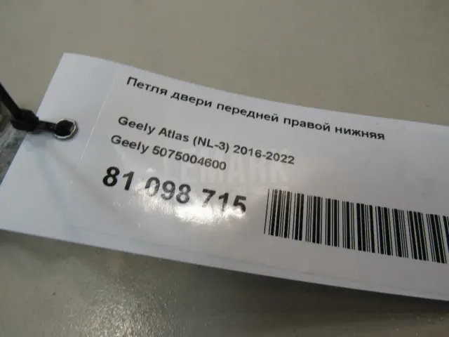 Петля двери передней правой нижняя