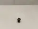 Датчик
