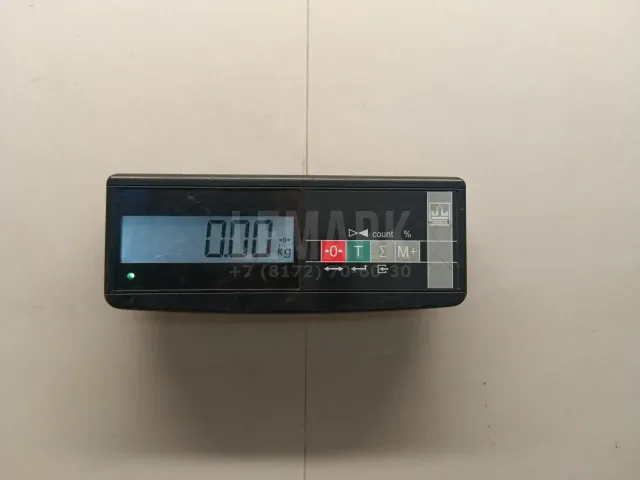 Плафон салонный