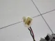 Плафон салонный
