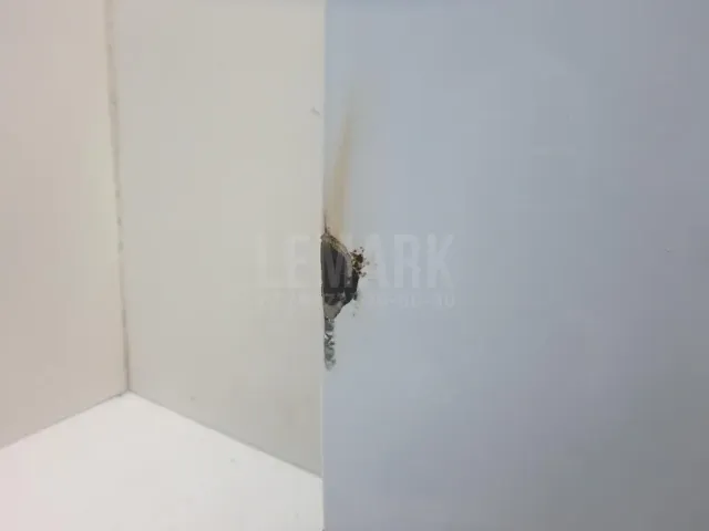 Дверь передняя левая