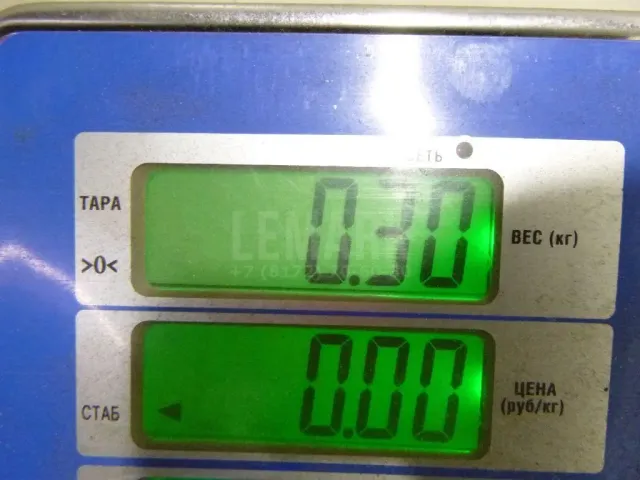 Блок управления двигателем