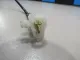 Ответная часть ремня безопасности
