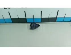 Накладка ручки наружной