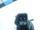 Насос омывателя