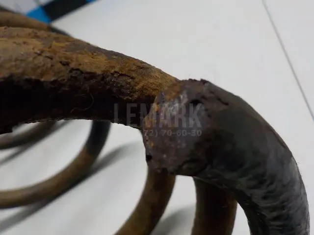 Пружина задняя