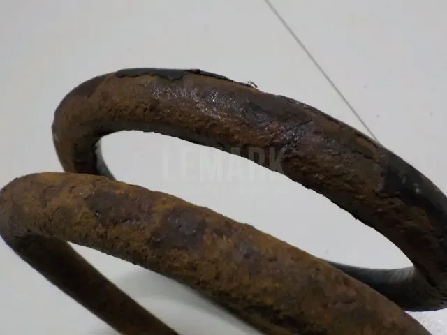 Пружина задняя