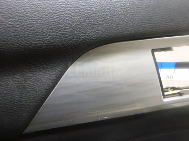 Обшивка двери задней левой для  Geely Tugella (FY11) 2020