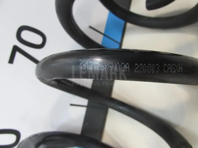 Пружина задняя для  Ford EcoSport 2012-2023